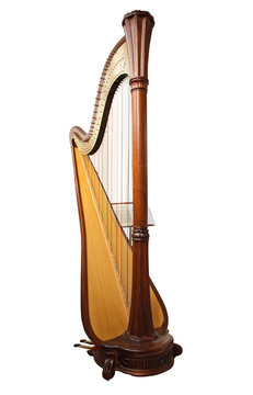 Harp, isolated on a white background