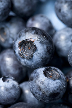 blueberry macro background