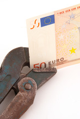 Fixing the Euro