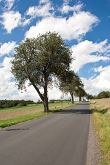 Naklejka premium idyllic country road