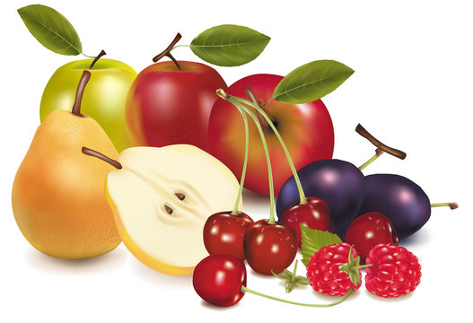 Vector illustration. Apples, a pear and cherries.