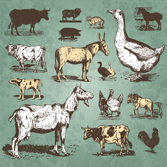 farm animals vintage set (vector)