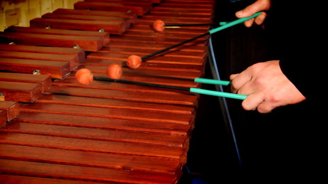 Xylophone playing