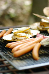 アルトバイエルン的な