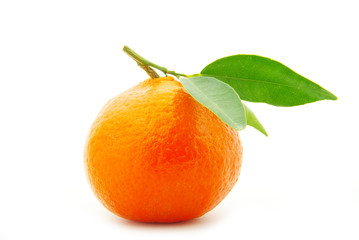 tangerine