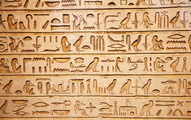 Foto op Plexiglas old egypt hieroglyphs © swisshippo