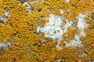 texture of old paint