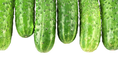 cucumbers isolated on white