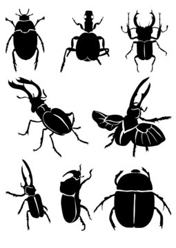 Vector illustration of black beetles on white background