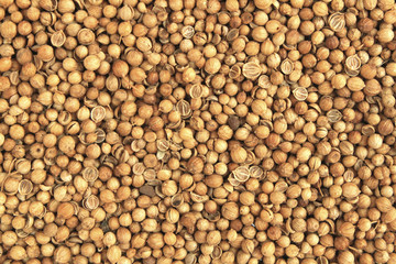 textured of a parsley seed