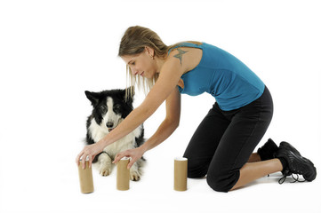 apprendre son chien à jouer au bonneteau