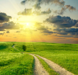 Summer landscape with green grass, road and clouds