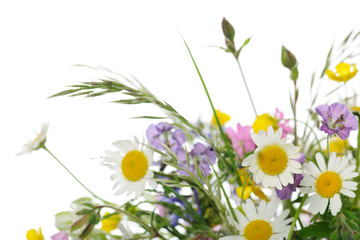 fiori di campo © Anna Khomulo