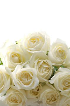Bouquet of White Roses-texture