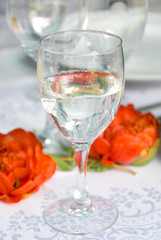 water glass