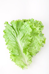 lettuce