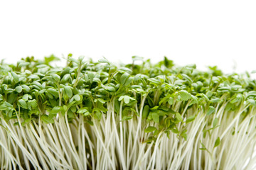 Organic Cress