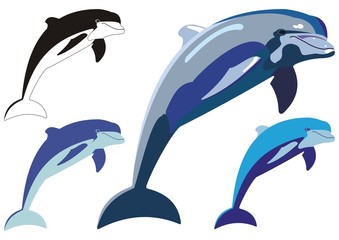 Obraz premium dolphin jump illustration