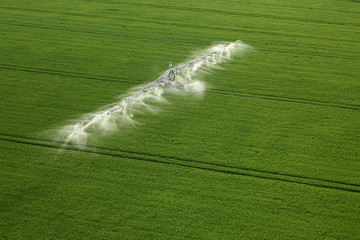 irrigation d'un champ de blé