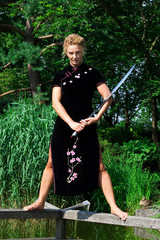 Kung fu girl