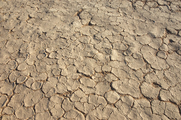 Cracked soil