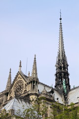 Fototapeta na wymiar Notre-Dame Paris