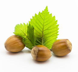 hazel, nut