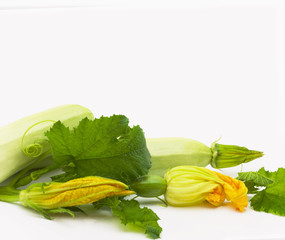 Vegetable marrows