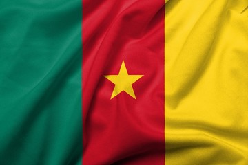 3D Flag of Cameroon satin