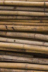 close up of bamboo for background