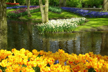 jardinage