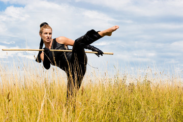 Kung fu girl