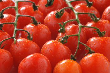 Tomatoes on vine
