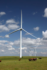 White Power Generating Wind Turbines