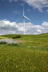 White Power Generating Wind Turbine