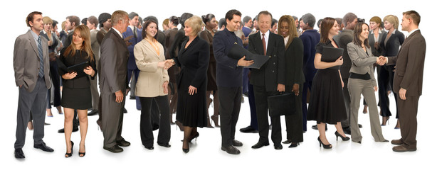 11 Professionals on White