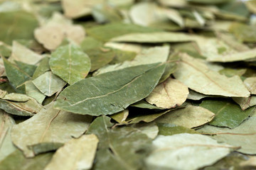 Cocaine Raw Material - Dried Coca Leaves