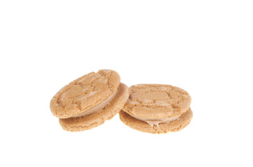 Two chocolate biscuits