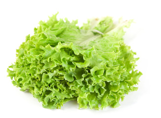 Lettuce leaf bunch