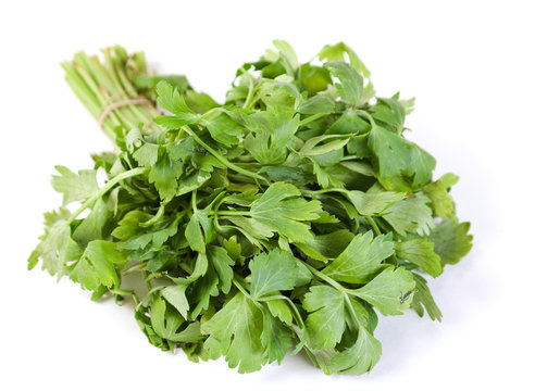 Celery fresh herb