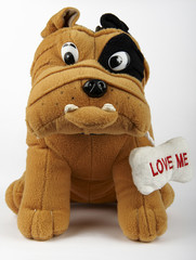 cagnolino © m.bonotto