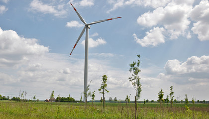 Windrad
