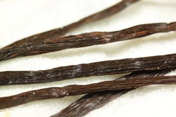 Vanilla in sugar
