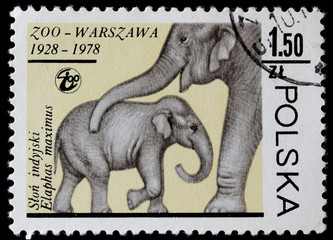 post stampshows elephant with a baby