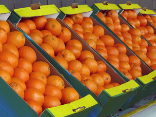 Oranges