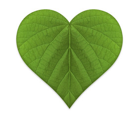 Green Love