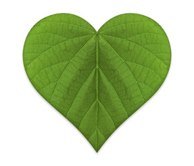 Green Love