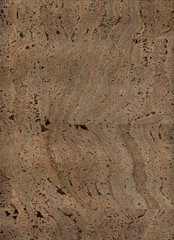 Cork texture #02
