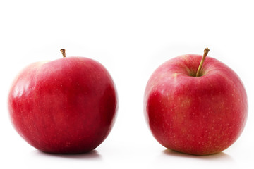 zwei rote Äpfel vor weißem Hintergrund