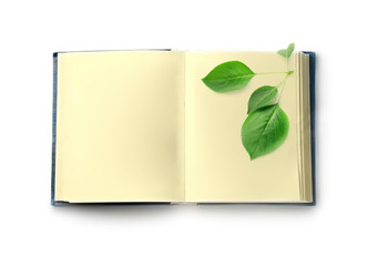 Book isolated on white background